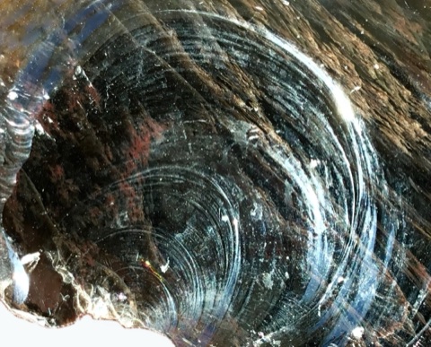 Obsidian, Aufnahme 7