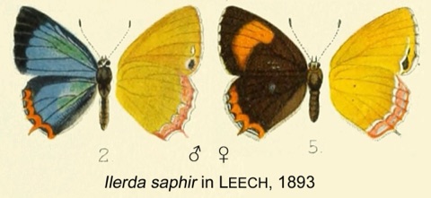 Saphir, Aufnahme 4