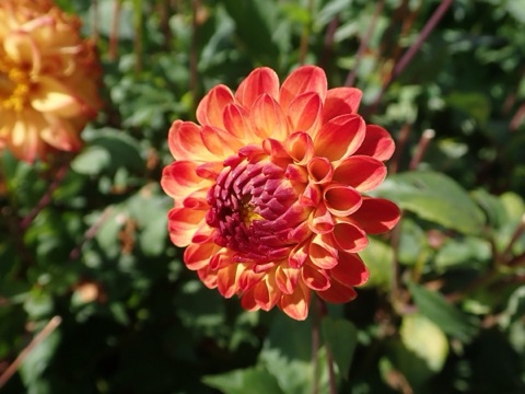 Spinell, Aufnahme 3